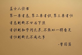 开云官网APP下载-创纪录足球前锋赛季破门纪录，足球前锋进球率