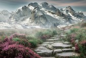 kaiyun登录入口-德甲战况激烈，比分2-2，比赛亮点：场上双方抢断成功率都超过70%，德甲比分竞猜攻略
