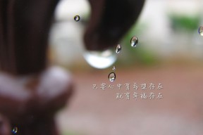 开云入口-搏击台上选手竞技水平持续提升，搏击展示