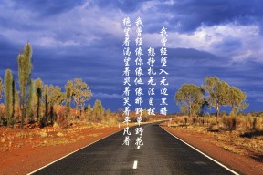 开云网页版登录入口-马利克·蒂尔曼在PSV表现出色，赛季结束后引发多家欧洲俱乐部关注。