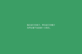开云官网-云南飞虎队员全力以赴，备战成功，云南飞虎队研究协会