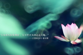开云平台-英超冠军角逐:悬念、精彩、最终胜利!,0506英超冠军