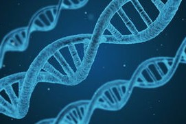 开云官方-篮球专项技能教学创新与实践研究及效果评估，篮球教学实施报告 教学能力比赛