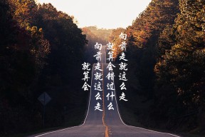kaiyun开云·官方网站-南非羚羊队:每场比赛中,他们总能展现出令人难以置信的速度和力量