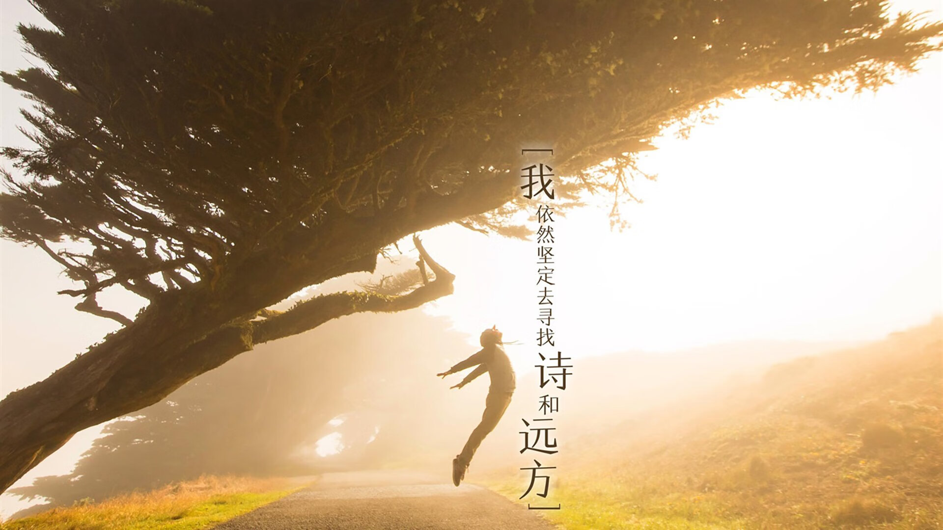 kaiyun.com-直播带货新玩法，篮球明星带货助推体育产业发展，nba直播带货  第2张