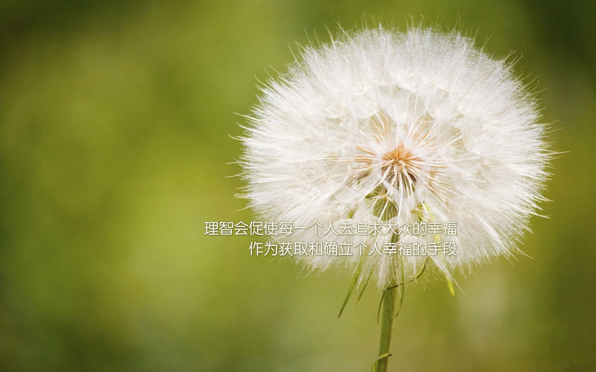 kaiyun体育app-全国舞龙舞狮锦标赛气氛热烈，第十二届全国舞龙舞狮锦标赛第一名  第3张