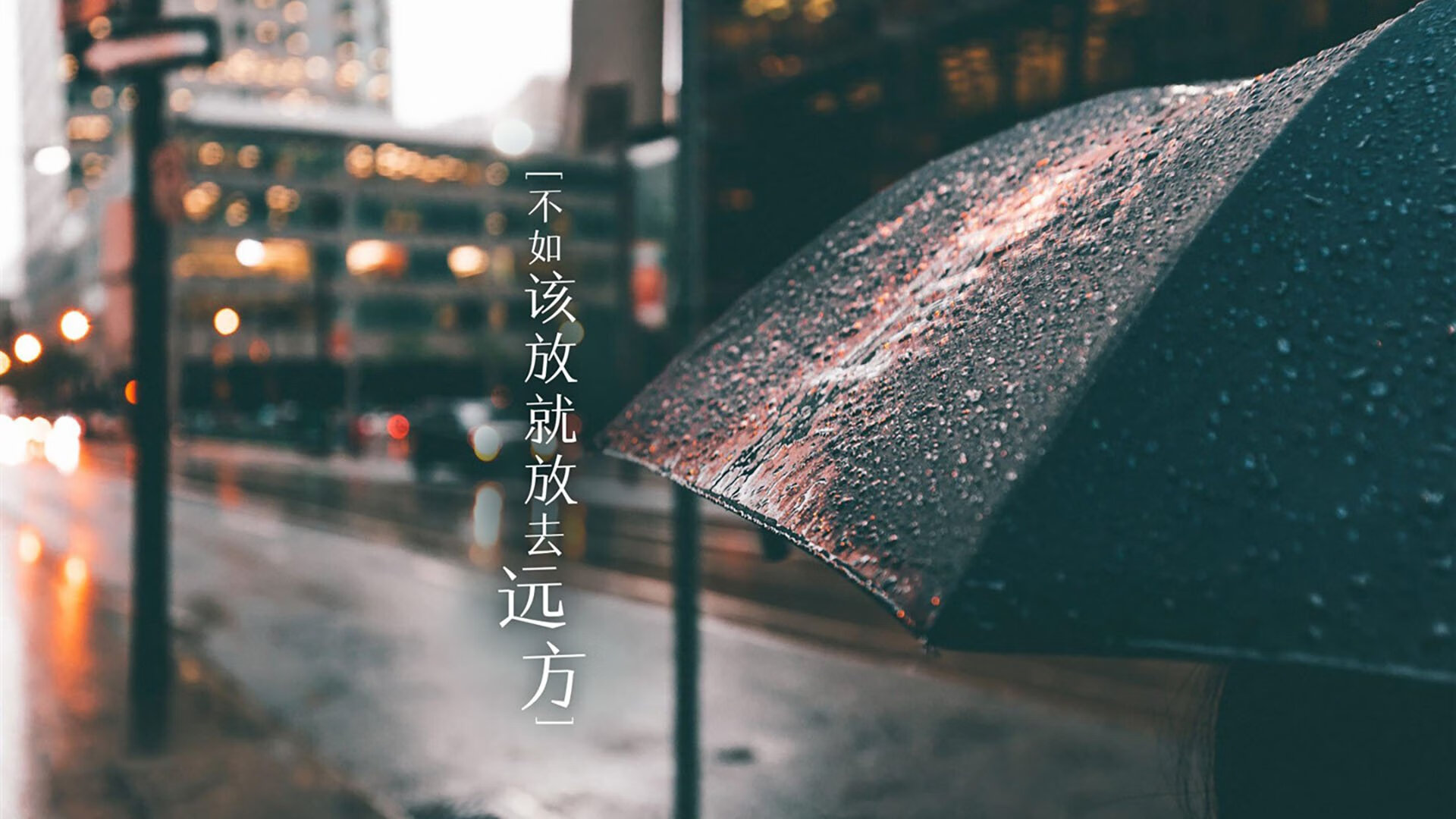 开云官方网页登录-埃及乒乓队未来：深化国内基础训练，提升选手国际战斗力，埃及乒乓球名将  第2张